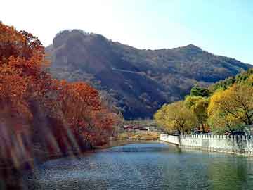 澳门二四六天天彩图库，鲸鲨脑素